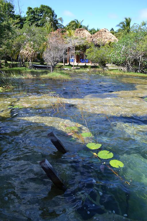 Casa Caracol Otel Bacalar Dış mekan fotoğraf