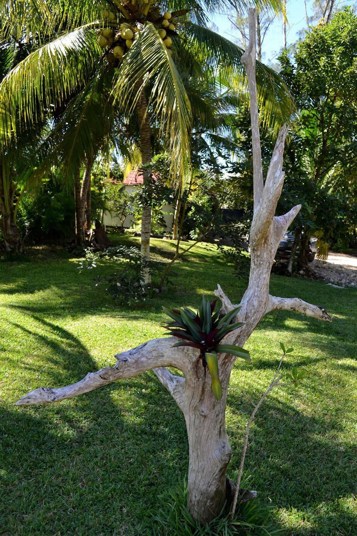Casa Caracol Otel Bacalar Dış mekan fotoğraf